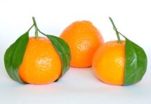 Μανταρίνι (Citrus reticulata)